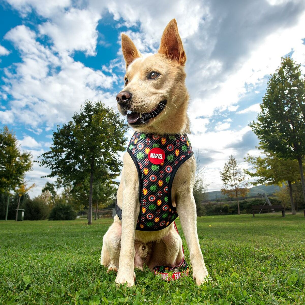 Prodotto per cani Super Animali