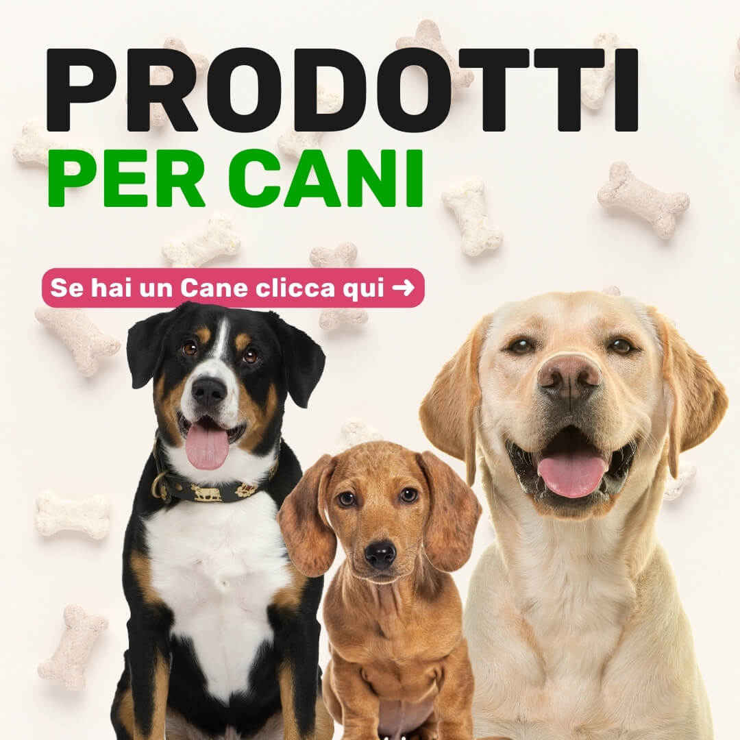 prodotti per cani super animali cibo per cani