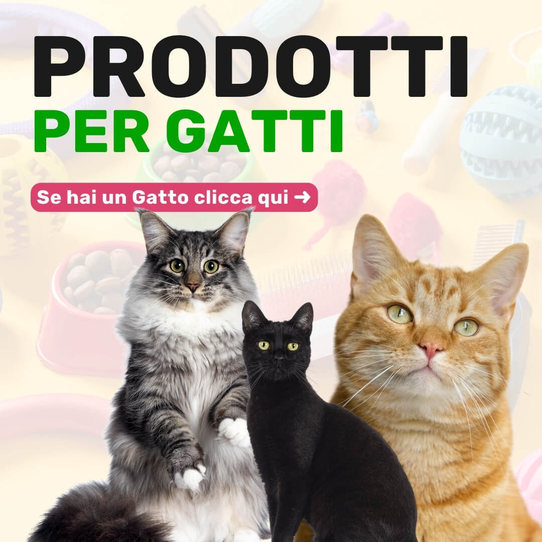 prodotti per gatti super animali cibo per gatti